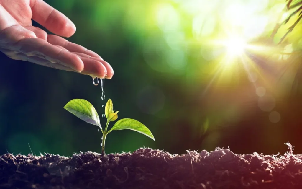 Sejarah Sertifikasi ISO 14001 Penting Untuk Mengetahui