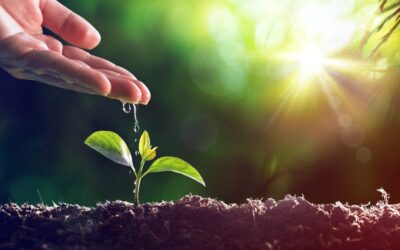 Sejarah Sertifikasi ISO 14001 Penting Untuk Mengetahui